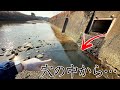 川の端っこに出来た穴の中は巨大外来生物の住処になっていた…