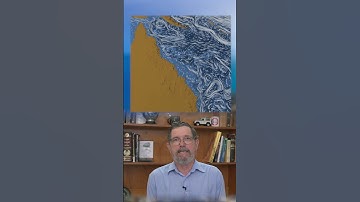 Great Barrier Reef Report 2024 P2