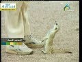 سهول الحصى : : الشواطئ المنسية : : المجد الطبيغية