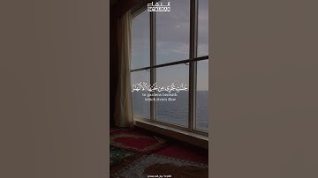 هو الذي أنـزل السكينة في قلوب المؤمنين ليزدادوا إيمانا مع إيمانهم #سورة #الفتح #ريان_المحيسني