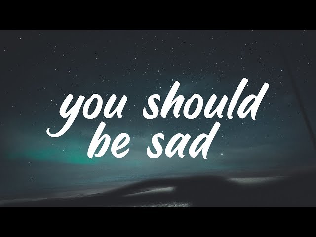 Halsey - You should be sad (Clean - Lyrics) class=