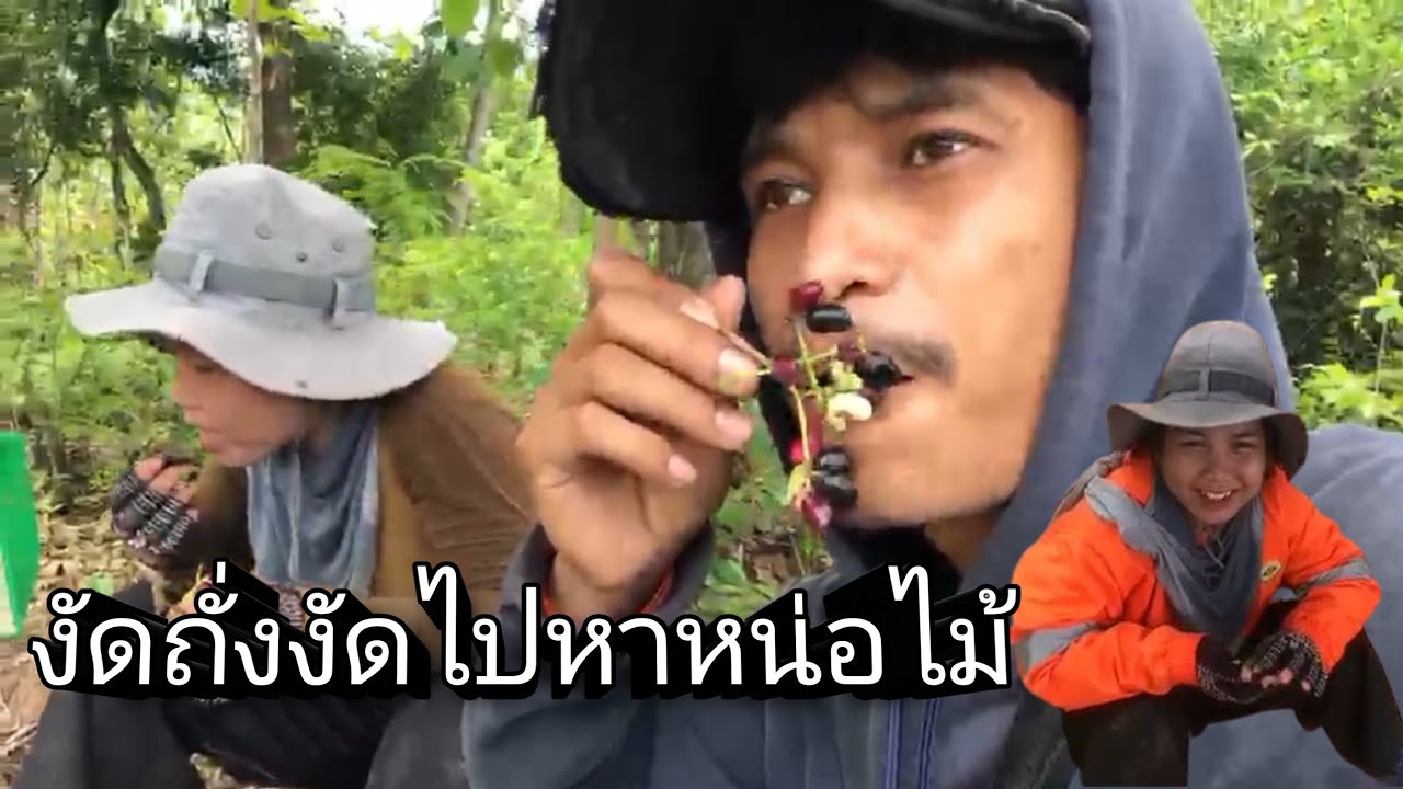 วันนี้ผู้สาวพาไปหาหน่อไม้