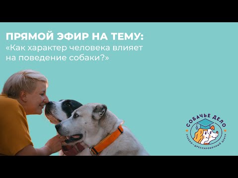 Запись прямого эфира с Юлией Исламовой | Как характер человека влияет на поведение собаки?