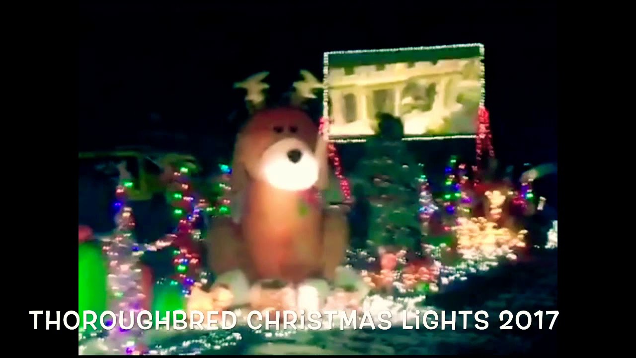thoroughbred-christmas-lights-2017-youtube