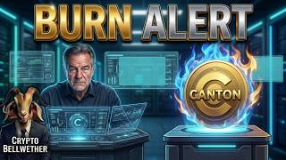 WARNING: This CANTON NEWS will EXPLODE the CC BURNS! - What you Need to Know!