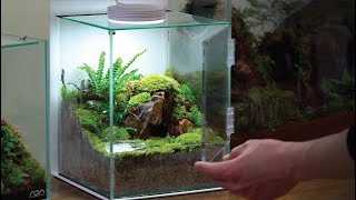 Create a custom vivarium for baby newt! by 내츄럴팟 NATURALLPOT 32,536 views 2 years ago 8 minutes, 28 seconds