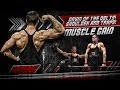 Dawn Of The Delts! Shoulders &amp; Traps! - Muscle Gain