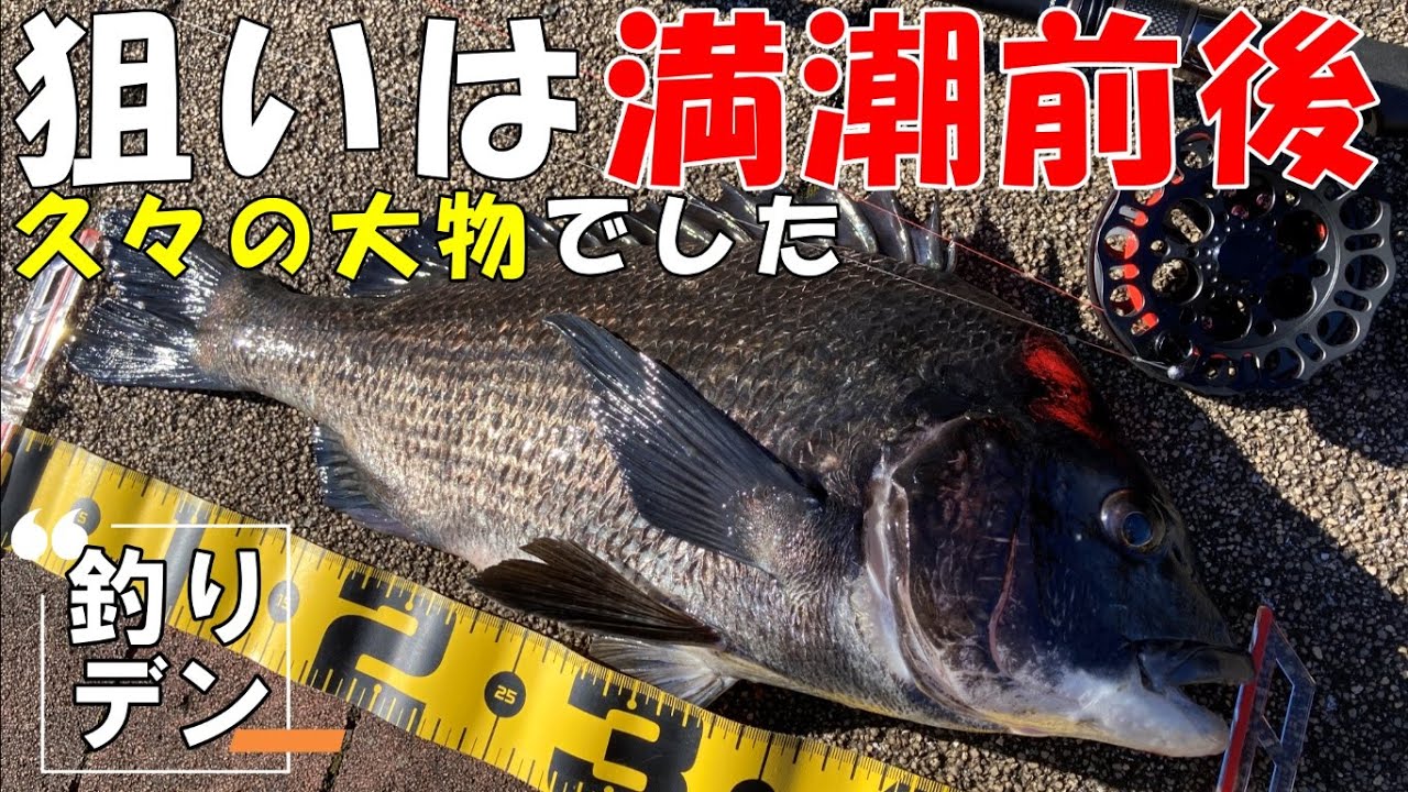 「ヘチ釣り」狙いは満潮前後！「久々の大物でした」