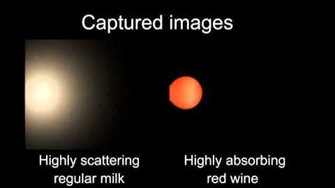 Participating Media: Measuring Scattering by Dilution (2)