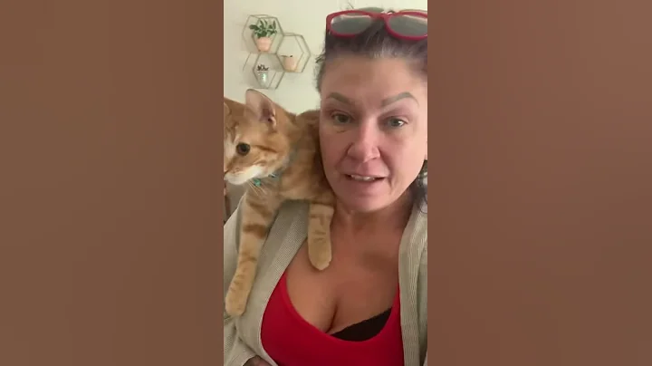 Crazy Kitty Dexter Doo