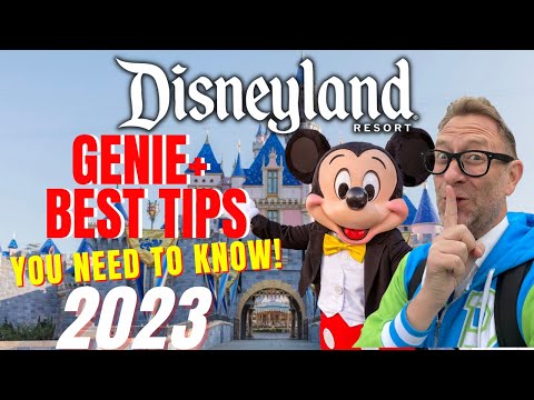 Video: Disneyland Magic Morning: cosa devi sapere