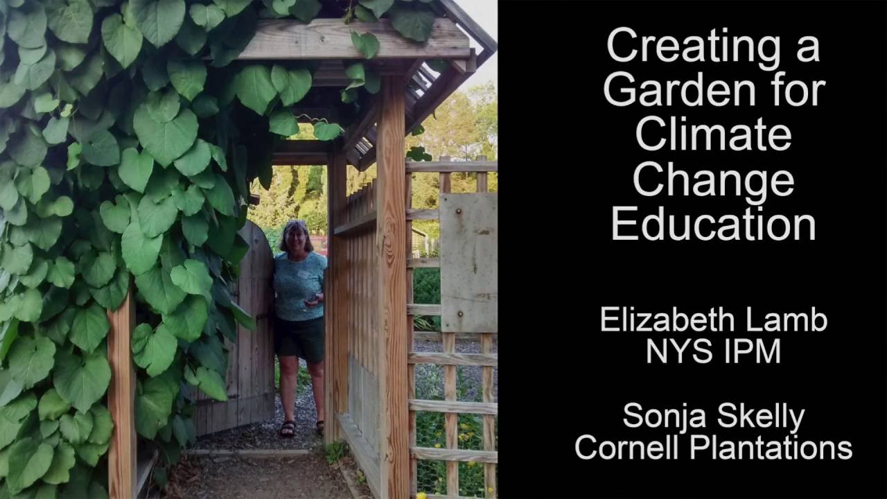Creating a Garden for Climate Change Education - YouTube