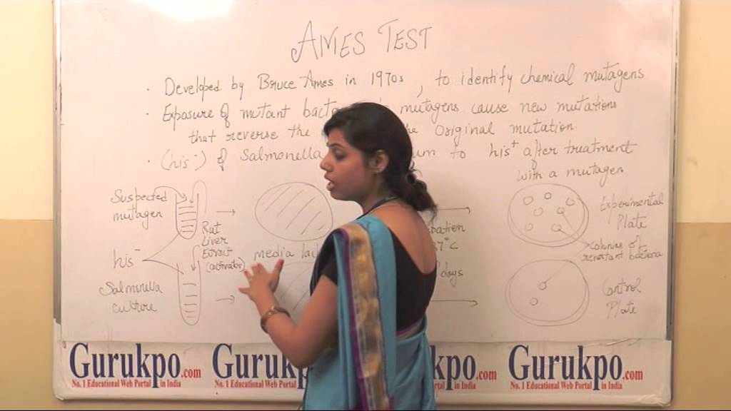 Ms Deepika Rathore AMES Test - YouTube