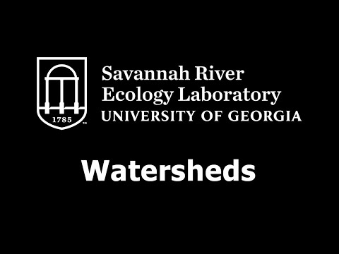 SREL Watershed Talk