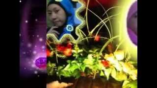 Five Minutes - Katakan Sebenarnya  (Susy SIN)