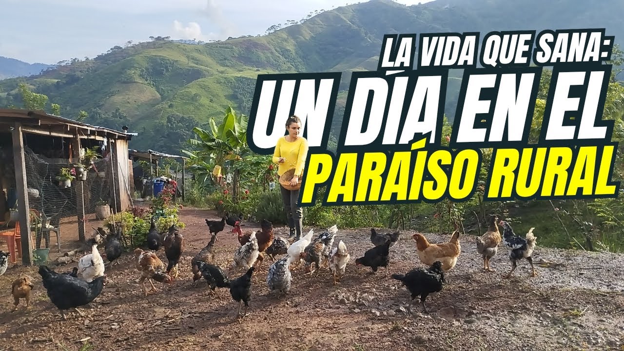 Así es un Día Normal en la Finca: Maíz, Gallinas, Huevos Frescos | Y el Secreto de los 