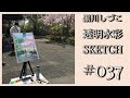 #037"透明水彩スケッチ「今年の枝垂桜」"（鶴見緑地公園）黒川しづこ透明水彩画