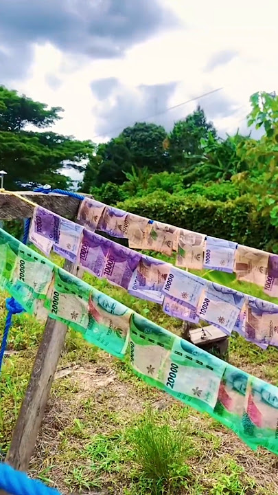Make money look new again by washing, drying and ironing it #money #newmoney #washmoney #shorts