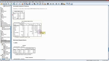 SPSS - General Linear Model (with interaction)