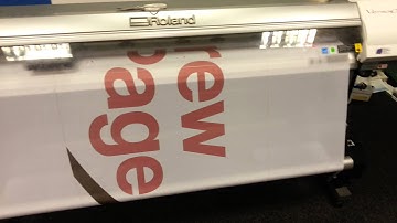 Dye Sublimation Printer Printing Feather Flags