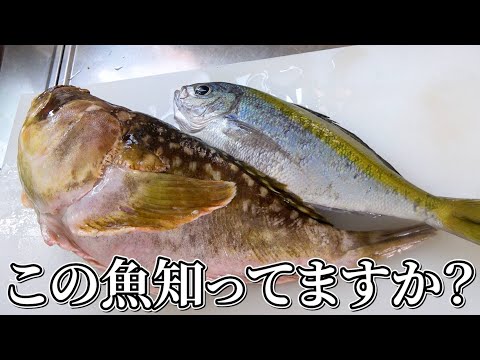 へんおじ へんな魚おじさんのひとり言 - YouTube