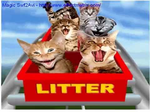  Animasi  Kucing  Lucu anak anak YouTube
