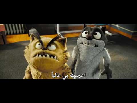 فيديو: كيف لرعاية الهمستر