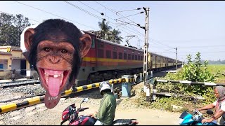 Chimpanzee Headed Kaviguru Express : Dangerous & Furious Moving Throughout At Railgate