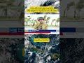 Vào 11h trưa nay (25/8), bão số 5 chỉ còn cách đất liền Nghệ An, Hà Tĩnh khoảng 100 km #tintuc