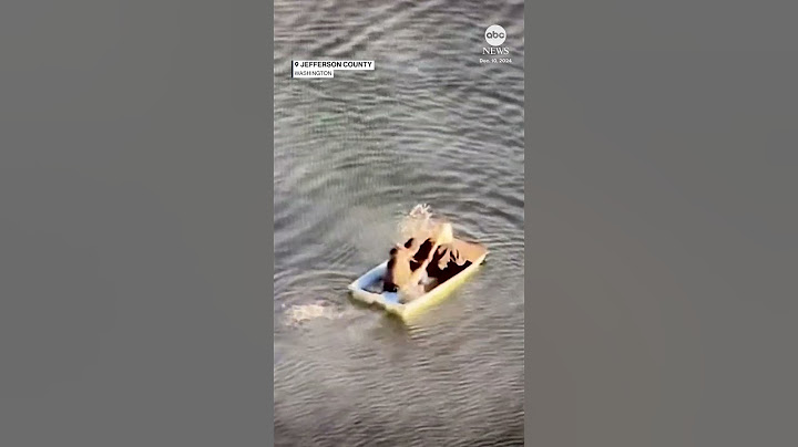Jewelry thieves attempt to flee in sinking rowboat
