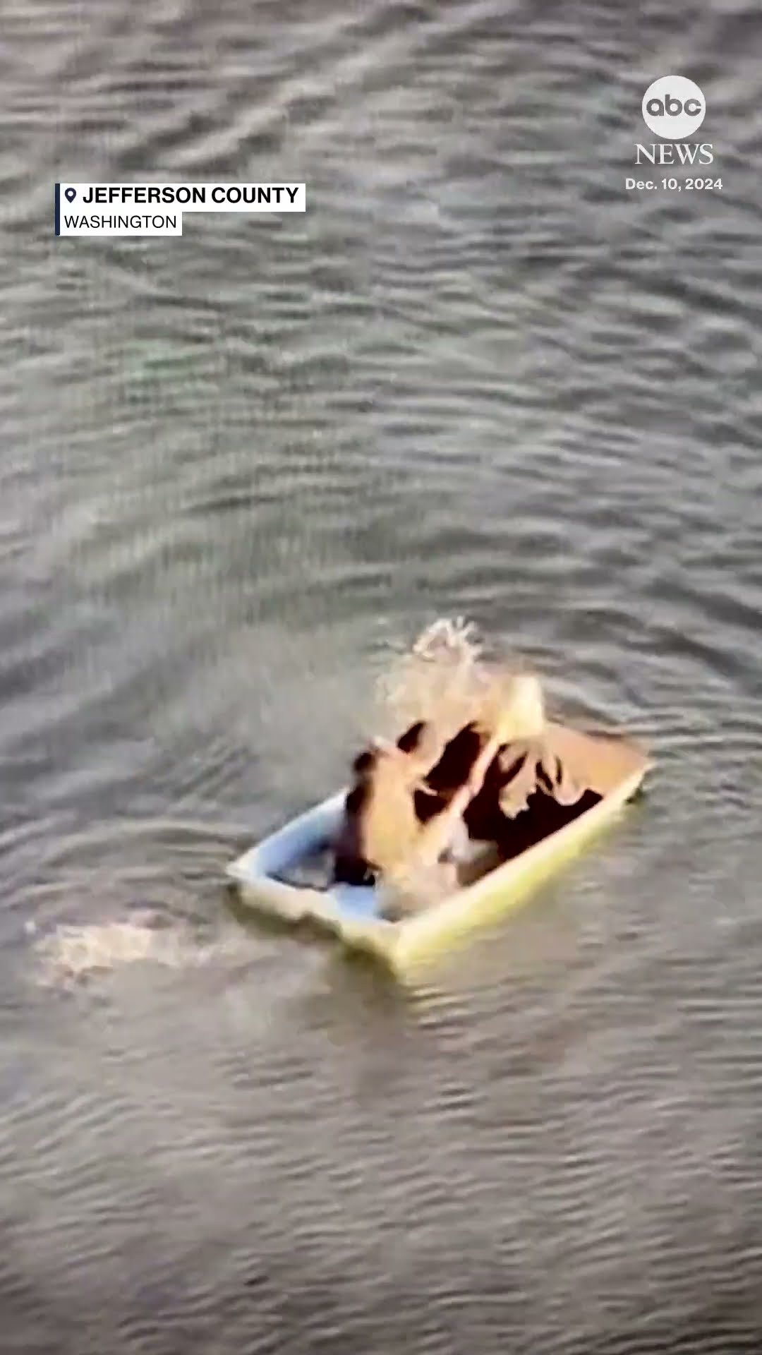 Jewelry thieves attempt to flee in sinking rowboat