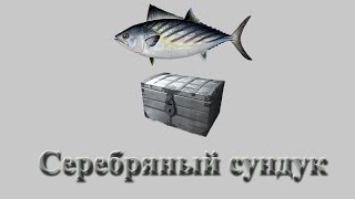 Русская Рыбалка 3.9 Серебряный сундук с Бонито