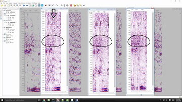 Python for Geoscience Workflows -  Extending INTViewer