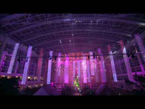 Gaylord National Resort Tree Lighting Ceremony