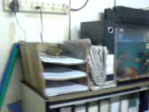 Ranker Video