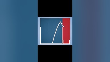 Place an Object in the Small Box Challenge 😏