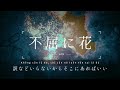Vietsub | jo0ji - Fukutsu ni Hana (不屈に花)
