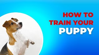 How To Train Your Puppy Funny Dog Training Dog Reactions Markx