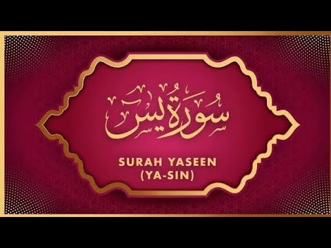surah yasin by mishary rashid surah yasin by mishary rashid