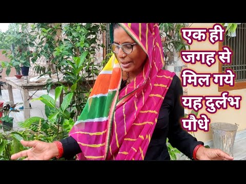 वीडियो: खेल और जैविक