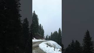 Yüksel Baltacı/Selamet/ Taşacak Bu Deniz Dizi Müziği/ Pişmanlık Fayda Etmez Resimi