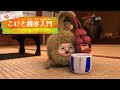 帰ってきたこびと観察入門　メンオニギョウソウ編