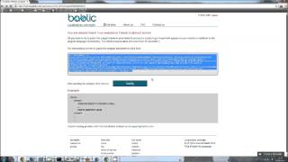 How to paste Bablic Code Snippet in your .Net website Profile