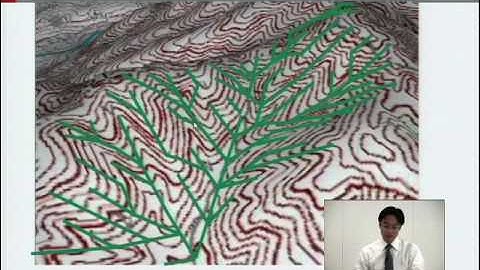 Technologies and applications of interactive flood simulatio