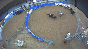 Big Sky Ranch Sorting Saddle Series #4 - YOUTH RANCH HAND - Round #1 - Ride #6