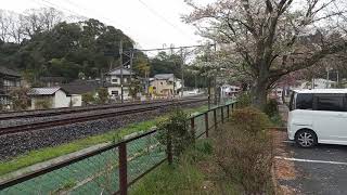 松ヶ岡公園 ひたち15号いわき行E657系K15編成(東北DCラッピング車両)&普通列車水戸行E501系K703編成通過シーン 2021年4月4日
