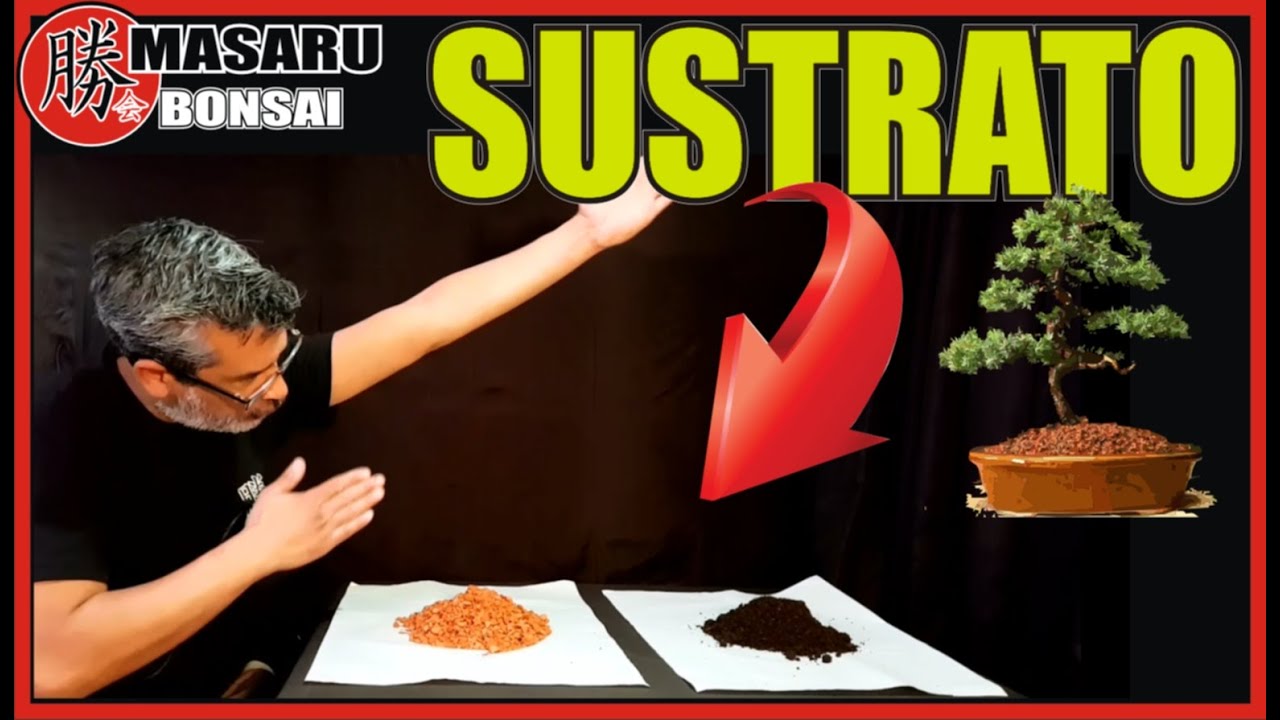 COMO HACER SUSTRATO PARA BONSAI remplazo de AKADAMA .BONSAI SUPER