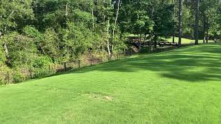 Luba 5000 and TifTuf Bermuda Turf is the best combo add Anderson fertilizer and it’s perfecto:)