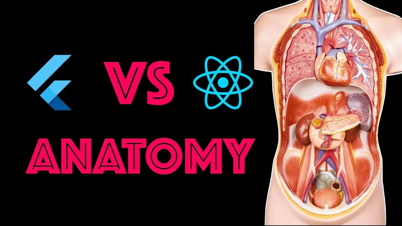 Flutter vs React Native | The Anatomy of Code