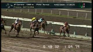 Carr.8 Premio: BATICORA 11-02-2020